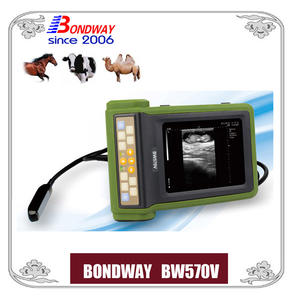 Veterinary ultrasound scan for equine,bovine, cattle, llama, vet ultrasound