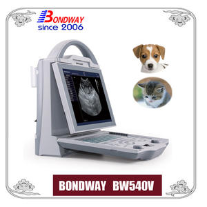 digital ultrasound scan for small animals, cat, dog, rabbit, canine, feline
