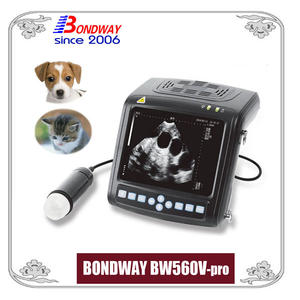 Veterinary Ultrasound Machine For Small Animals, Pets, Companion Animals