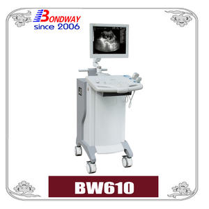 Digital Diagnostic Ultrasound Imaging System