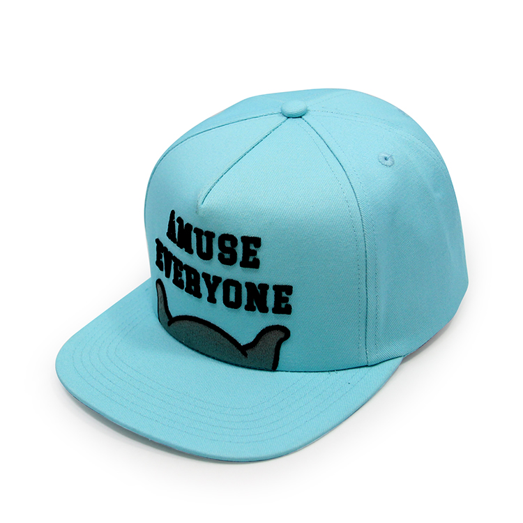 Custom Funny Logo kids snapback hats | Wintime Hat Manufacturer