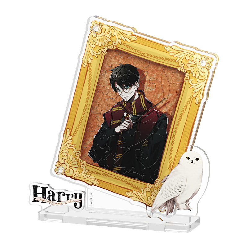 Harry Potter-Memory Photo Frame Series-Harry Potter