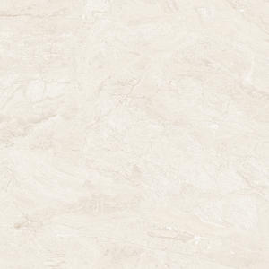 Marble Tile floor VAT8552P