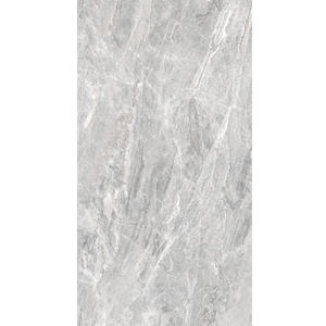 Sintered Stone Porcelain Panel CS18955P