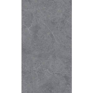 Sintered Stone Porcelain Panel S18993P