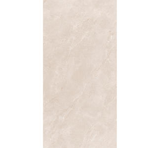 Sintered Stone Porcelain Panel 2-12249W631Y