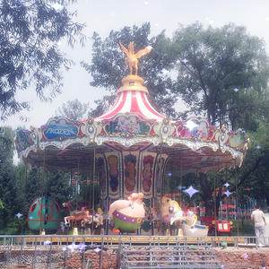 Jinbo Ride High Quality Carousel for Sale 