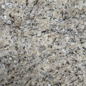 High Quality Prefabricated Granite Countertops Supplier-G011