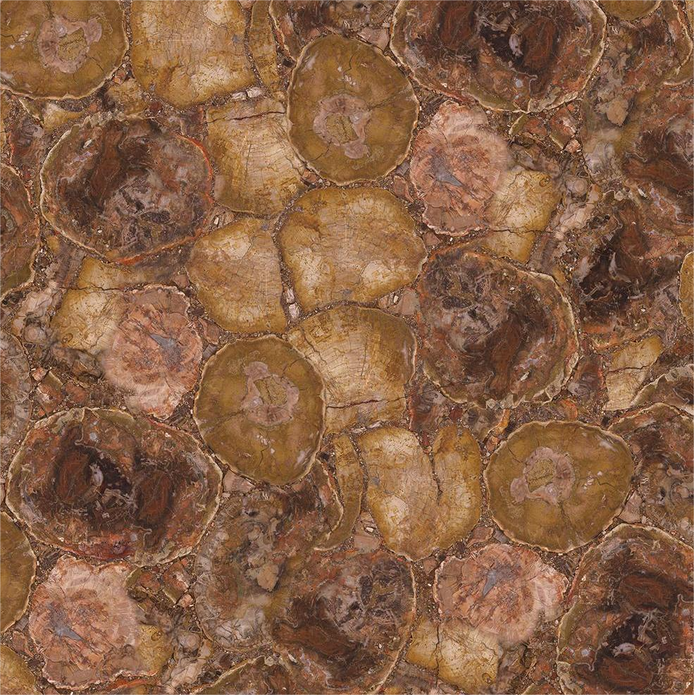 High Quality GEM Stone Slabs Supplier-GEM-401 Petrified Wood（Round Texture)