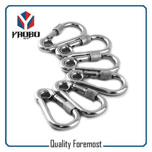 Wholesales Stainless Steel Carabiner With Screw,Stainless Steel Carabiner Hook