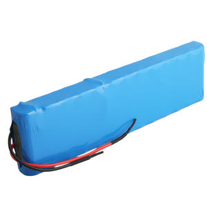 48V 2900mAh High Capacity Lithium Ion Battery Packs For Vacuum Cleaner