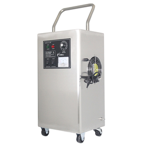 Ozone generator 30g indoor air purifier Automotive ozone sterilizer