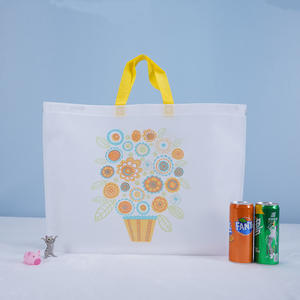 Eco-friendly biodegradable new design full color printing pp non woven shopping bag