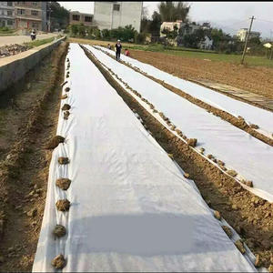 Agricultural crop cover 100% polypropylene breathable pp non woven fabric