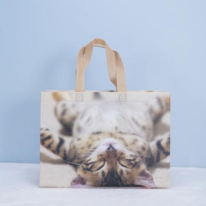 PP Laminated Sweet Cat Small PP Non Woven Tote Carry Bag