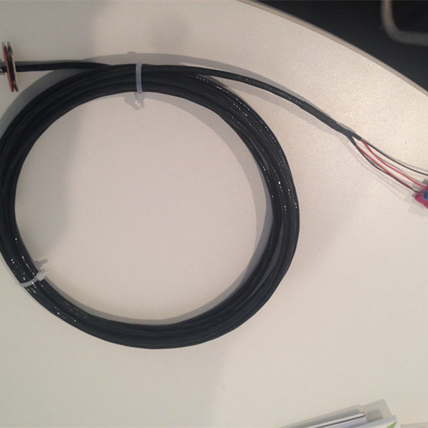 Radiation Resistant PEEK RTD Sensor Cable For Nuclear Industry 