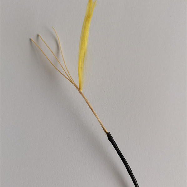 Radio-Resistant fibers Cable,Radio-Resistant Cable,High Temperature Radio-Resistant fiber Cable