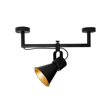 CL-19006 Industrial Horns Ceiling Lamp