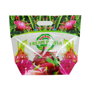 Drachenfrucht Verpackungsbeutel, Pitaa Beutel Fabrik