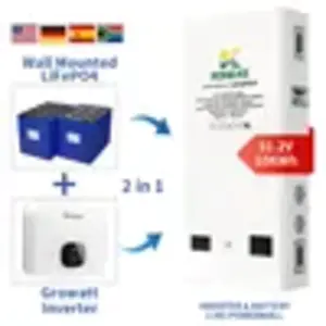 Home Energy Storage Battery And Inverter 2 In 1 5KW 10KW Inverter 52V 48V Wall-mounted Lifepo4 Battery