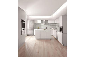high quality the kitchen with a low price,provide a range of customized kitchen