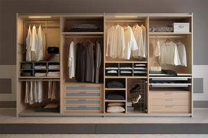 modern walk-in closet, wardrobe wholesale, wardrobe customization