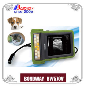 Digital Veterinary Ultrasound For Companion Animal