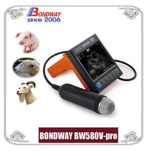 Vet ultrasound for swine, ovine, goat, alpacca, Easiscan, reproscan