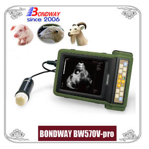ultrasound for pigs, pork, sheep, goat, and other farm animals, vet ultrasonic