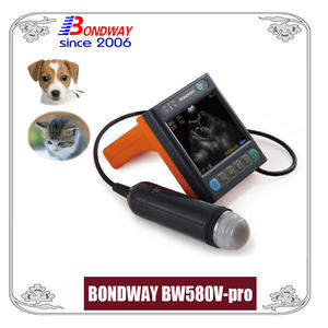 ultrasound for pets, companion animals or small animals, cat, dog, rabbit