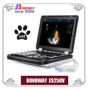 ultrasound scanner, ultrasonic machine, digital veterinary color doppler 