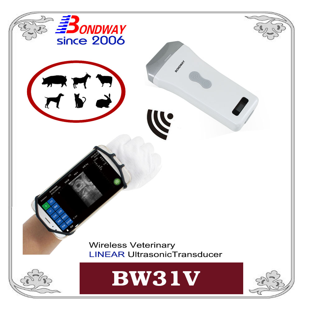 BW31W 无线兽用超声探头，无线兽用Ｂ型超声诊断仪，无线动物Ｂ超，无线兽用Ｂ超