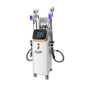 BPM-SB05 Beauty Cryolipolysis Slimming Machine
