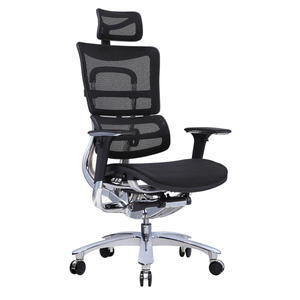 bifma mesh ergonomic high back ergohuman chair 