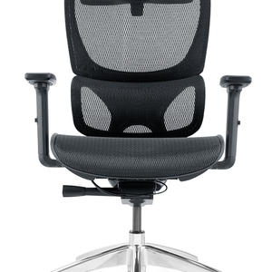 2022 New Design High Back Mesh Ergonomic Chair with Separated Lumbar Support