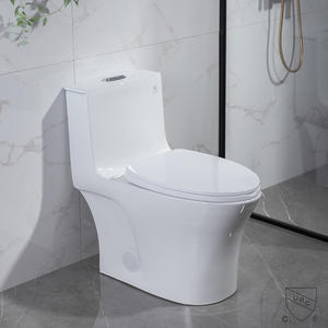 28" 1.28 Gpf Dual Flush One Piece Toilet 10 Inch Rough In American Standard