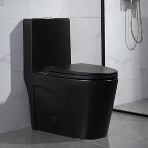 Matte Black Comfort Size Modern Black One Piece Toilet with Top Flush Button