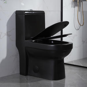 One Piece Floor Mounted Black Toilet Fully Glazed Flush Water Closet