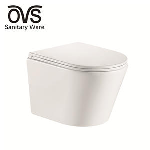 Watermark WC Ceramic Designer Bathrooms Designs White Toilet Wall Hung Toilets