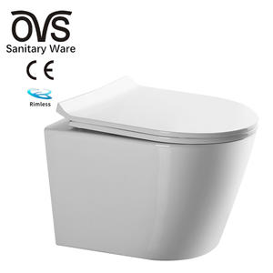 Back To Wall Toilet - OVS
