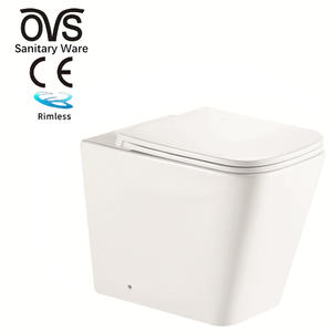 WC Bathroom Floor Toilet Rimless Flushing P Trap China Back To Wall Toilet
