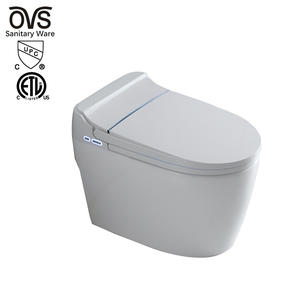 China Manufacturer Ceramic Water Closet Intelligent Toilet Smart Toilet