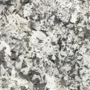High Quality Granite Overlay Countertops Supplier-G029