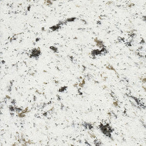 WG365 Mountain Fros quartz | quartz or modern stone