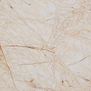 High Quality Marble Supplier- Gold spider