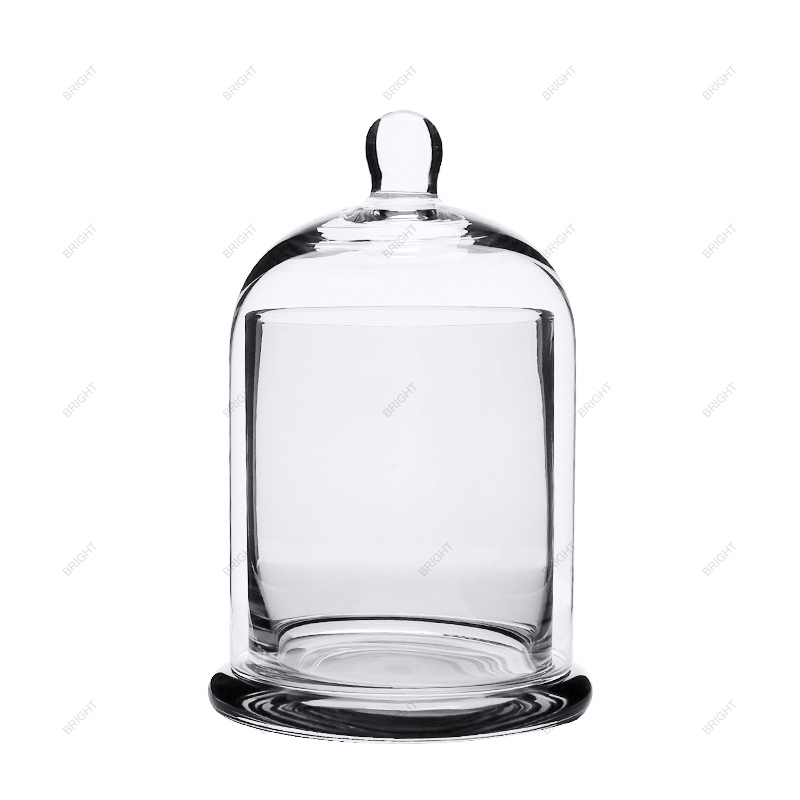 Free Sample Clear Glass Bell Jar Custom Base With Box And Handle