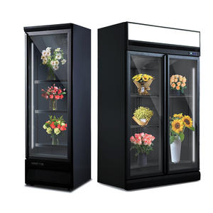 APEX flower display refrigerator cooler