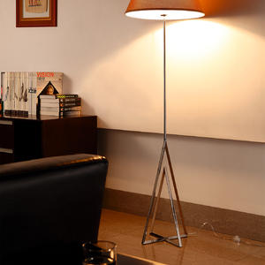 floor lamp |Apollo StainlessSteel Floor Lamp | Apollo 5137