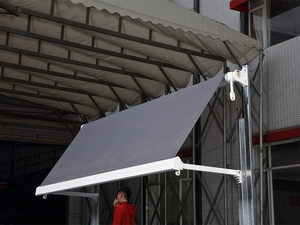 Double Function Pivot Arm Awning | Aluminum Awning - SCD