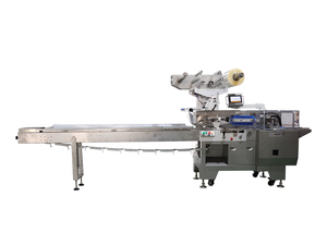 automated box motion packaging machine